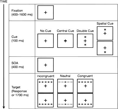 The Attention Network Test Database: ADHD and Cross-Cultural Applications